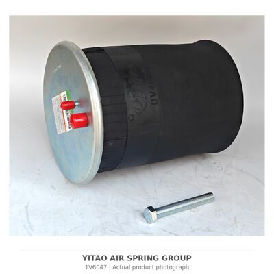 1V6047 MAN camión de aire de primavera 81.43600.6035 81436006066
