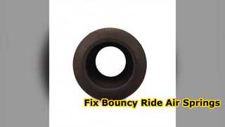 Resorte neumático Firestone W01 095 0118